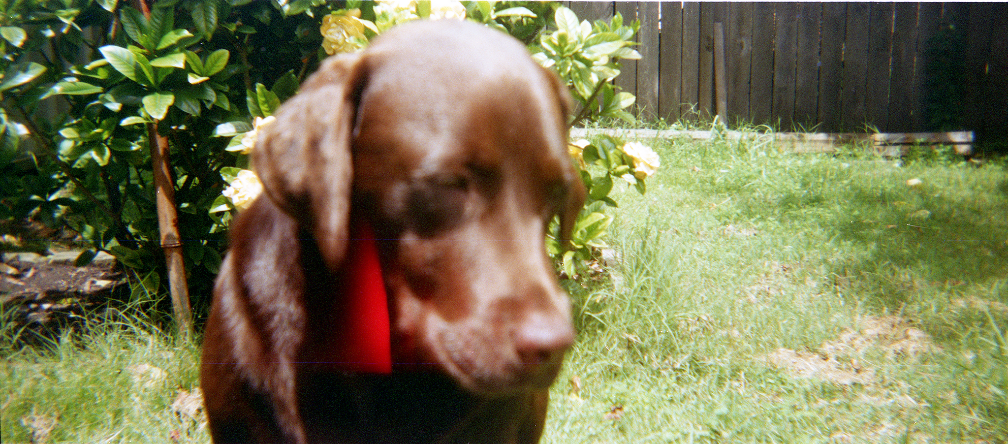 Betty